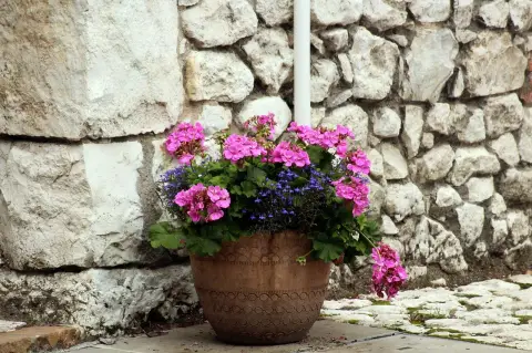 Besök Honeys grunkor & ting