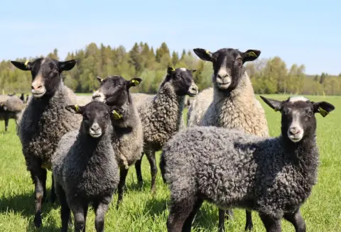 Besök Traryds Bryggeri