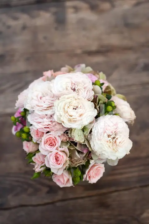 Besök Pioner & Pinaler